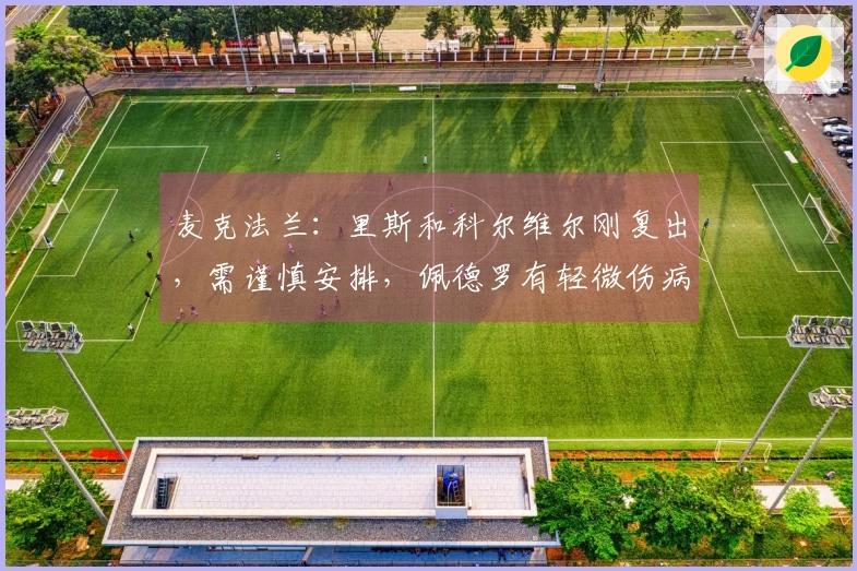 麦克法兰：里斯和科尔维尔刚复出，需谨慎安排，佩德罗有轻微伤病