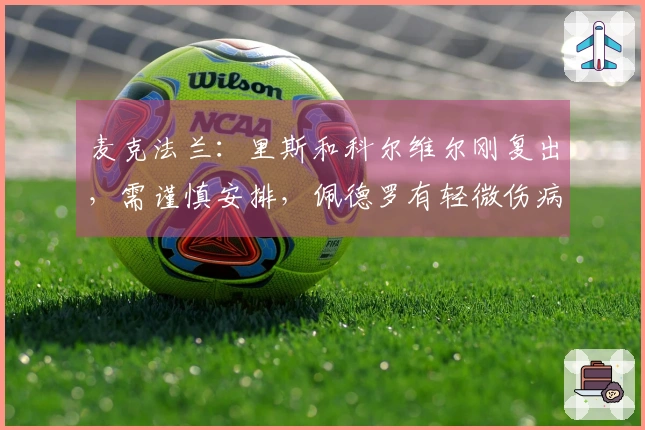 麦克法兰:里斯和科尔维尔刚复出,需谨慎安排,佩德罗有轻微伤病